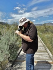 Osoyoos Desert Centre, June 6, 2014. A boardwalk trail through a corner of B.C.'s ecologically unique 