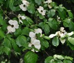 ??????????????????????