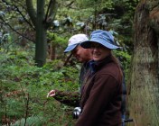 Ed SR. and Jane at UBC, April 8, 2014, checking out something green-leaved and woody-stemmed. What could it be? I have no idea!