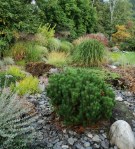 ???????????????????????????????