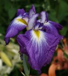 ??????????????????????