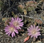 ??????????????????????