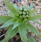 ??????????????????????