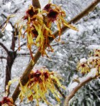 ??????????????????????