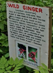 And here is an example of Jim Good's handmade signage. Always appropriately placed, these interesting notes added much to our walk in the park.