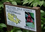 Jim's signs show an ongoing evolution; here is a nicely laminated 