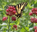 ??????????????????????