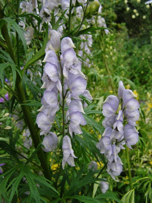 ???????????????????????????????