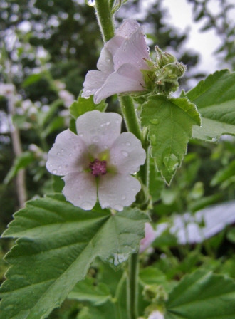 ???????????????????????????????