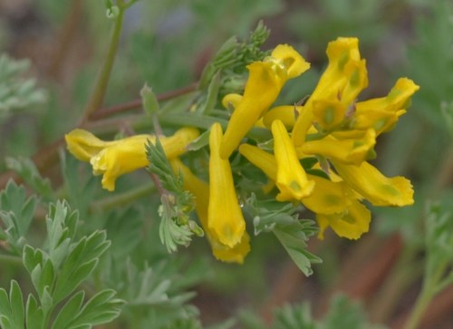 ??????????????????????