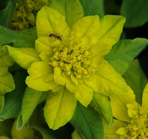 ??????????????????????