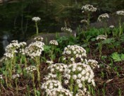 ??????????????????????