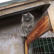 bill guards the greenhouse march 2022