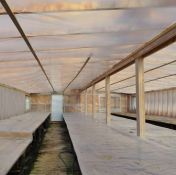 greenhouse waiting march 16 2022